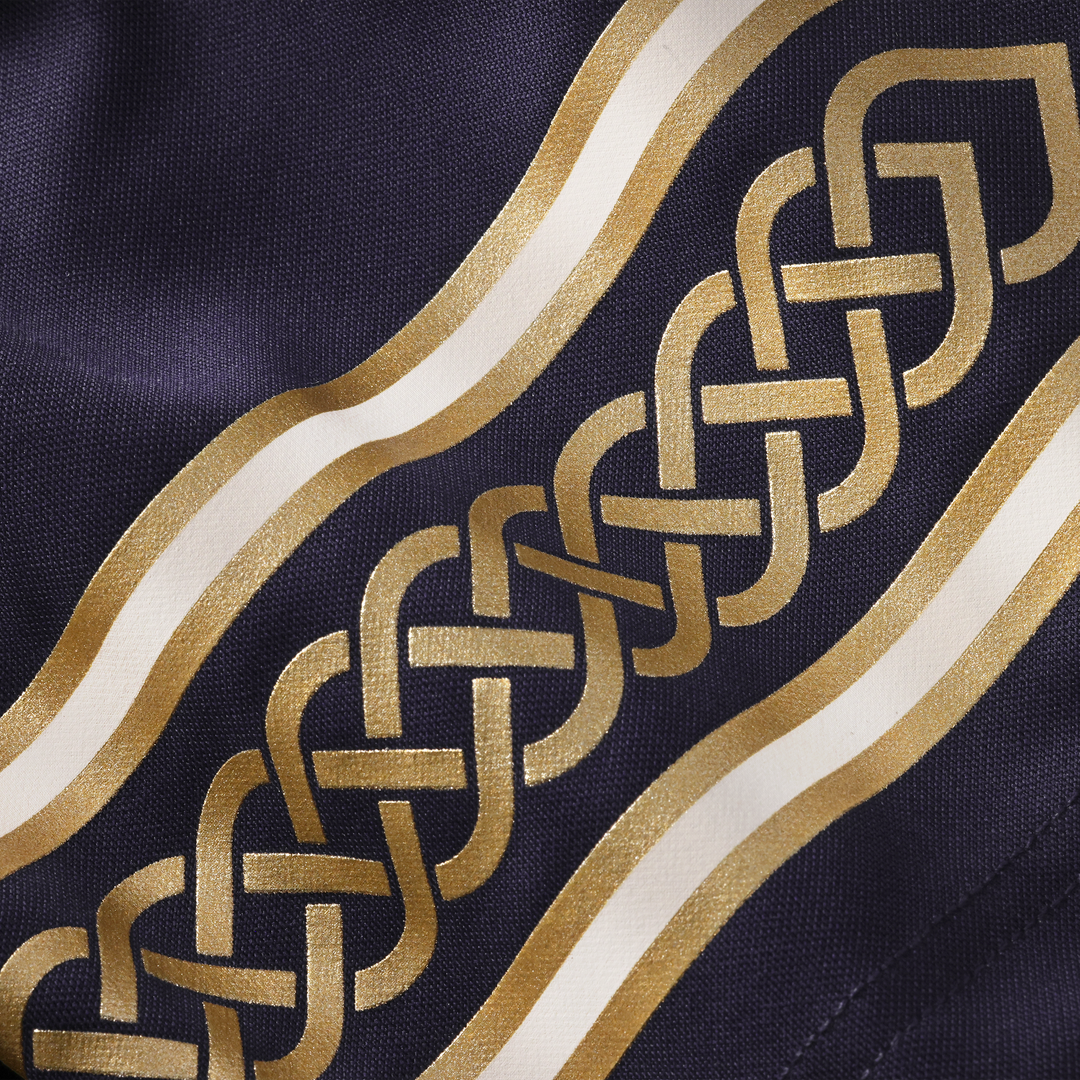 Minnesota Vikings Andrew Van Ginkel Nike Purple 2026 Rivalries Collection Stitched Limited Jersey